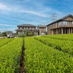 実家の空き家がすてきな新居に変身